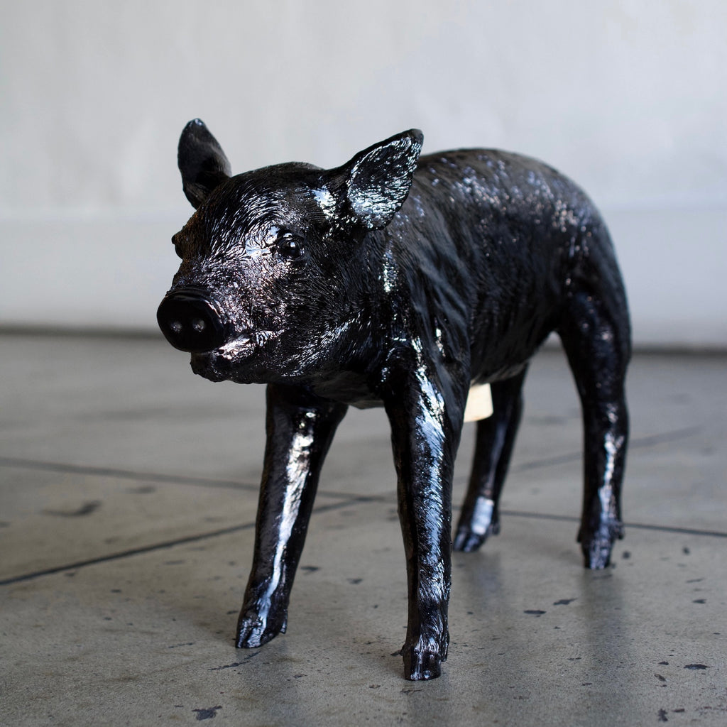 Reality Bank in the Form of a Pig