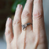 Scorpion Apex Ring