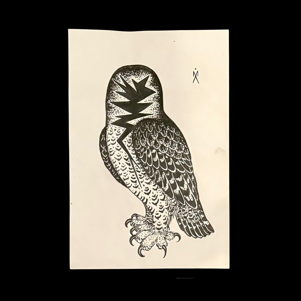 Michael Aul No Face Owl Illustration
