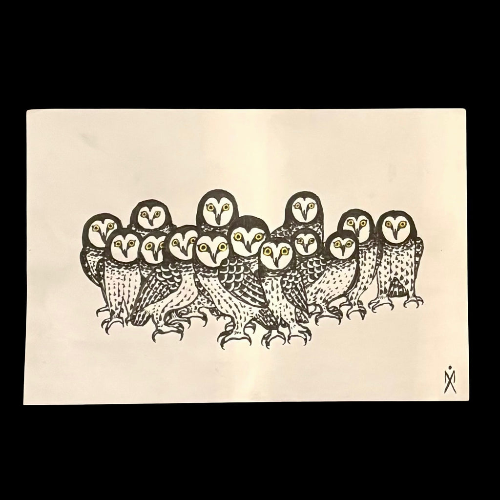 Michael Aul Owls Illustration