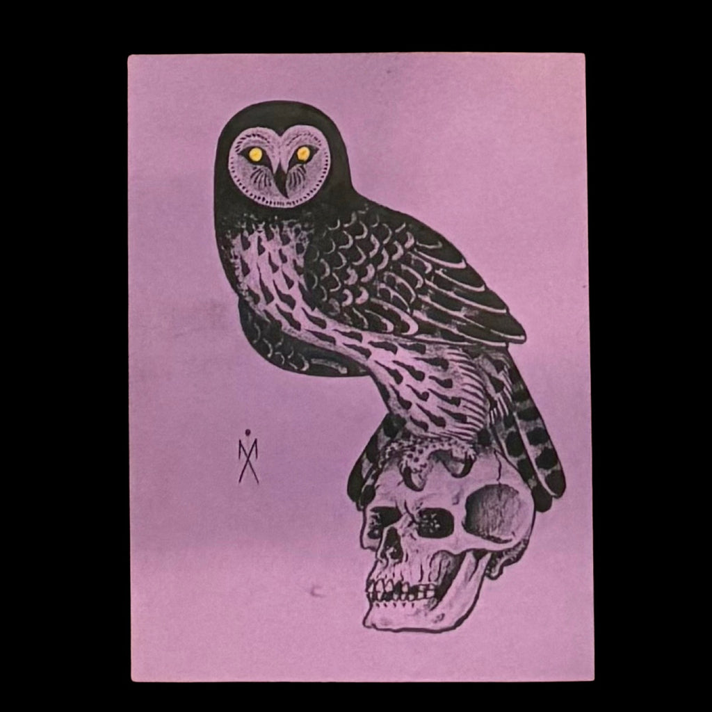 Michael Aul Purple Owl & Skull Illustration