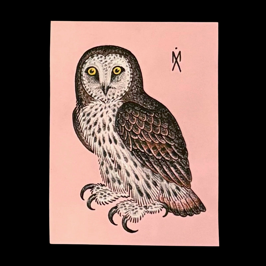 Michael Aul Pink Owl Illustration