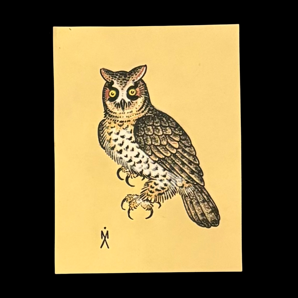 Michael Aul Yellow Owl Illustration